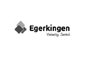 Logo 33
